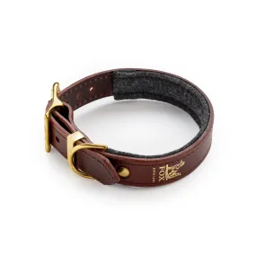 Fox x Storeys & Tails Dark Chocolate Straight Collar