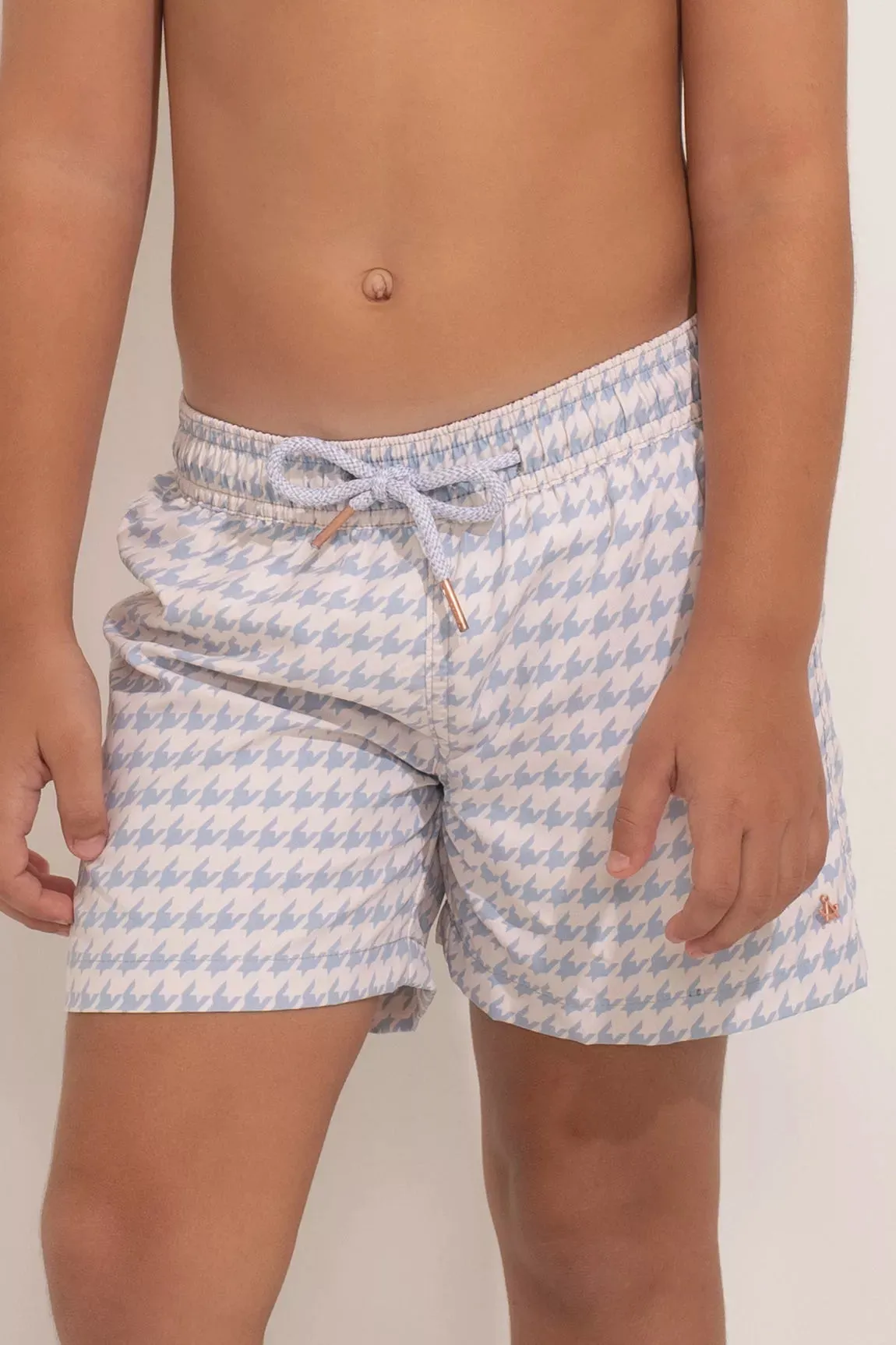 Swim Trunk The Vichy Blue