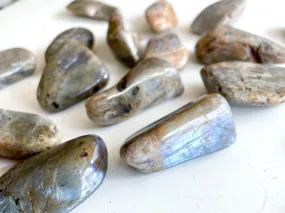 Wisconsin Moonstone Tumbled Stone